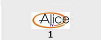 Alice TV - 1